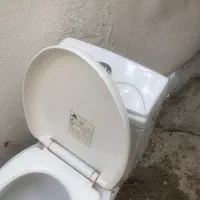 توالت فرنگی