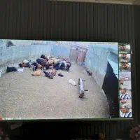 دوربین مداربسته ارزان شدفقط با چک صیادی|دوربین مداربسته|گرگان, |دیوار