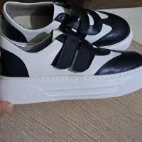 کفش مارک کال چرم نو نو|کیف، کفش، کمربند|اراک, |دیوار