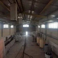 فروش ۳۸۰۰ متر سوله با برق ۴۰۰ آمپر در شهریار|فروش دفتر صنعتی، کشاورزی، تجاری|فردوسیه, |دیوار