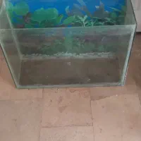 آکواریوم با تمام وسایل|لوازم جانبی حیوانات|سهند, |دیوار