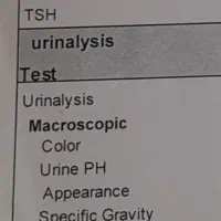 گم شده در فسا