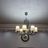 دو عدد لوستر ۸ شاخه دوگلس،۳ شاخه فنری و کنار سالنی