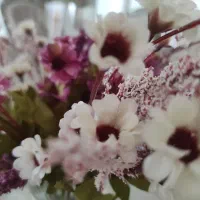 کلینیک تخصصی پوست و مو، بوتاکس.. درشیراز