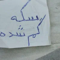 گمشده /سکه/
