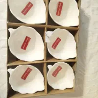 انواع سرویس چینی سرامیکی کادویی