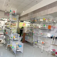 پرنده سرای سیستان|پرنده|گلبهار, شهر جدید گلبهار|دیوار