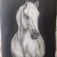 تابلوی نقاشی اسب تکنیک سیاه قلم