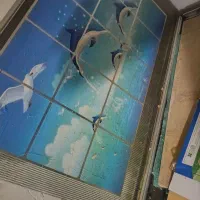 گاز فر دار|اجاق گاز و لوازم برقی پختوپز|مشهد, شهرآرا|دیوار