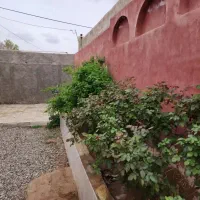 باغ فروشی