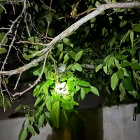 کلنگی 600 متر مربع بر 20 قیطریه جهانتاب