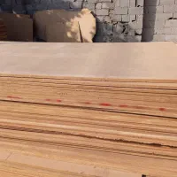 زیر پالتی نوپان ام دی آف  پانیذ