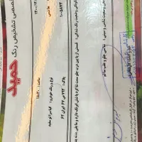سراتو ۹۴ دنده|خودرو سواری و وانت|اصفهان, ملک‌شهر|دیوار