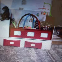 تخت و کمد نوجوان چند منظوره|تخت و سرویس خواب|یزد, |دیوار