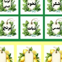 نظم دهنده لوازم