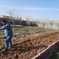 سمپاشی باغبانی تیلرزنی سم پاشی هرس کاری