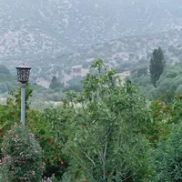 اجاره ویلا باغ جنگلی|اجارهٔ کوتاه‌مدت ویلا و باغ|شیراز, محمدیه|دیوار