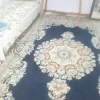 یک جفت فرش 6متری  500  شانه|فرش|مشهد, گلبرگ|دیوار