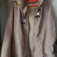 پالتو امریکایی