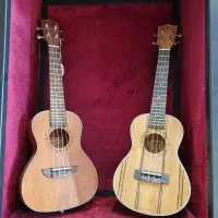 فروش انواع گیتار یوکله له پیکاب دار و ساده|گیتار، بیس، امپلیفایر|اردبیل, |دیوار