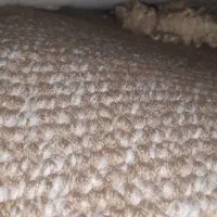موکت پالاز