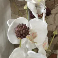 غرفه-در-بازار-کاسپین-گذر-5-شماره-2-18
