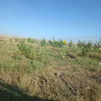 باغچه|فروش زمین و ملک کلنگی|زنجانرود, |دیوار