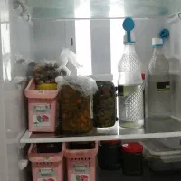 یخچال فریزر|یخچال و فریزر|تنکابن, |دیوار