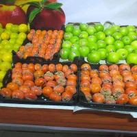 نیروی کار برای مغازه میوه فروشی|استخدام خدمات فروشگاه و رستوران|جم, |دیوار