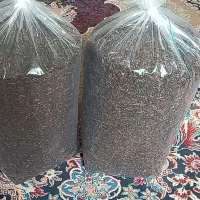 چای محلی ومیر آماده فلافل بندری