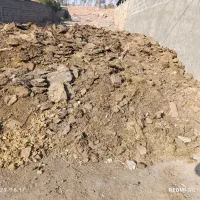 کودگاوی