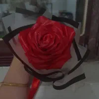 حراج|حراج|رشت, حومه رشت|دیوار