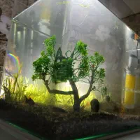 آکواریوم شیشه خم