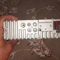 ظبط