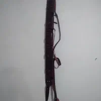قطارشنگ