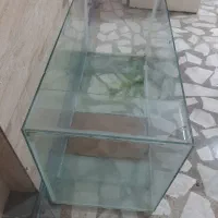 آکواریوم ماهی