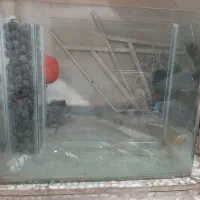 میز تلویزیون و آکواریوم|میز تلویزیون|لاهیجان, لاشیدان|دیوار