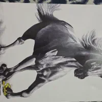 دفتر طراحی  ۵۰ برگ a4