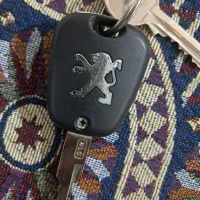سوییچ پیداشده