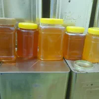 خرید وفروش عمده  انواع عسل  تغذیه وخالص