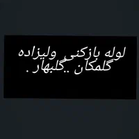 لوله باز کنی . لوله کشی .|خدمات پیشه و مهارت|گلبهار, شهر جدید گلبهار|دیوار