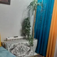 دو عدد پرده حریر ضخیم پانچ شده پرتقالی رنگ نو نو|پرده، رانر، رومیزی|کرج, گوهردشت|دیوار