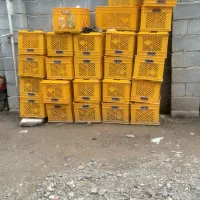 سبد مرغی، جعبه مرغی، سبد مخصوص مغاره، سبد میوه