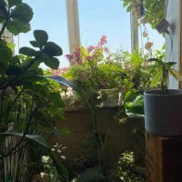 برای فروش واحد خودتان تماس بگیرین