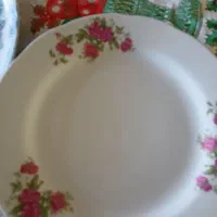 بشقاب گل سرخی نو