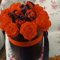 گل روبانی در حد نو