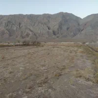 فروش زمین کشاورزی در راین روستای ده ملک|فروش زمین و ملک کلنگی|راین, |دیوار