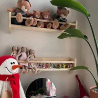 شلف های چوبی مینیمال جذاب برای خوش سلیقه ها|کتابخانه، شلف، قفسه‌های دیواری|رشت, رشتیان|دیوار