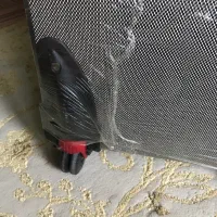 ساک مسافرتی چرخ دار پولو|کوهنوردی و کمپینگ|رشت, جانبازان|دیوار