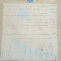 کرایه سند برای آزادی زندانی